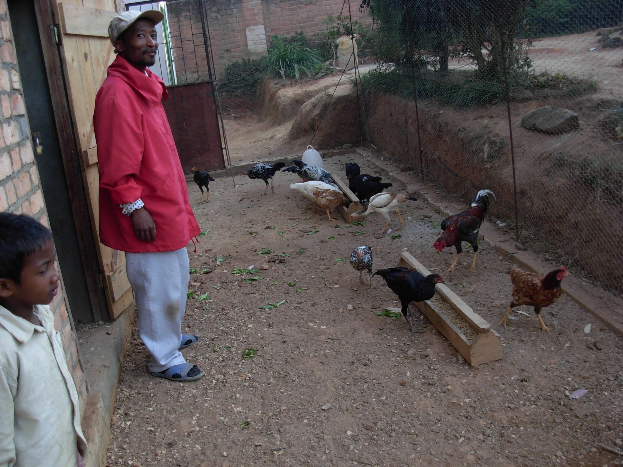 Lire la suite à propos de l’article Le Poulailler